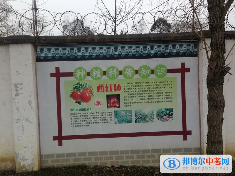 躬耕知趣園,一個趣味無窮的樂園