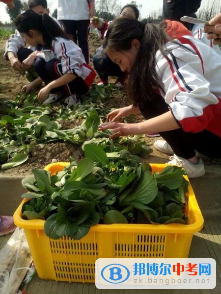 躬耕知趣園,一個趣味無窮的樂園