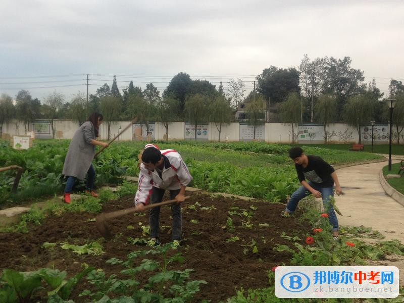躬耕知趣園,一個趣味無窮的樂園
