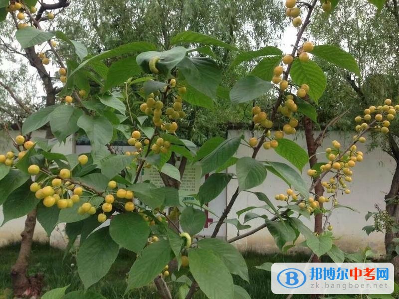 躬耕知趣園,一個趣味無窮的樂園