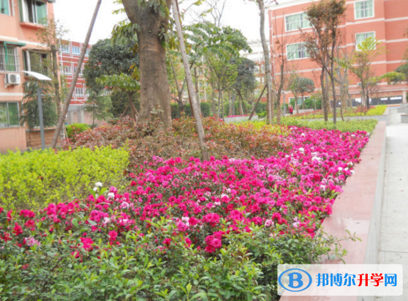 四川省安縣中學怎么樣、好嗎