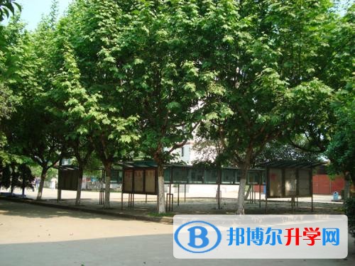 四川省瀘州高級中學2017年招生計劃