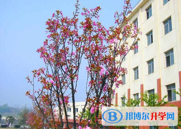 遵義清華中學(xué)學(xué)費