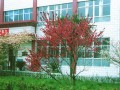 六盤水盤州市第三中學2022年招生代碼