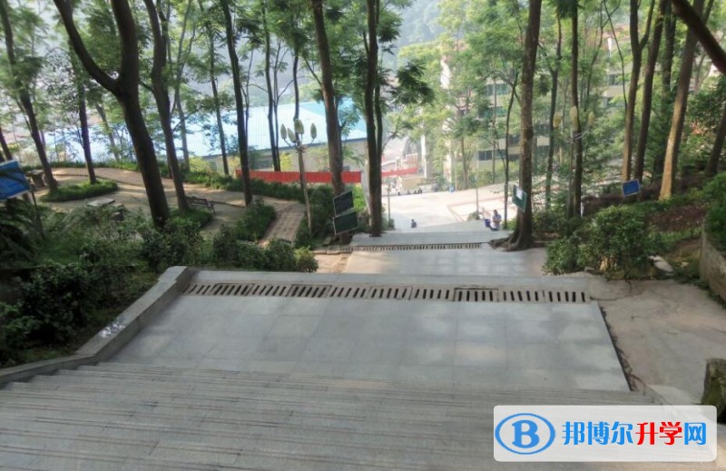 忠縣三匯中學地址在哪里
