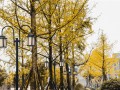 宜賓天立國(guó)際學(xué)校2022年學(xué)費(fèi)、收費(fèi)多少