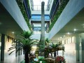 貴陽為明國際學校怎么樣、好不好
