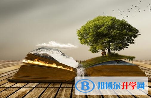 云南近年中考重點線