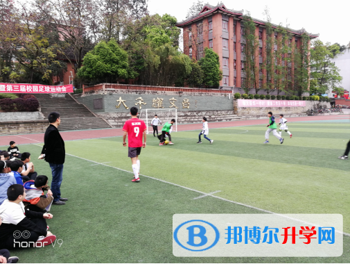 球場聚英豪，綠茵顯英姿