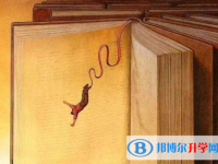 昆明中考網絡服務平臺