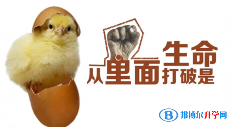 2020年貴陽中考網(wǎng)上學校