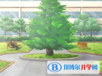 2020年巴中中考重點(diǎn)線