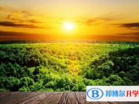 2020年巴中中考網絡服務應用平臺