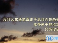 2020年內江中考各科高頻考點