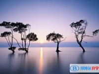 2020年內江中考需要準備什么