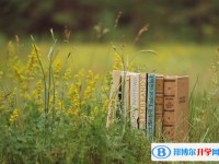 2020年內(nèi)江中考網(wǎng)上報名系統(tǒng)