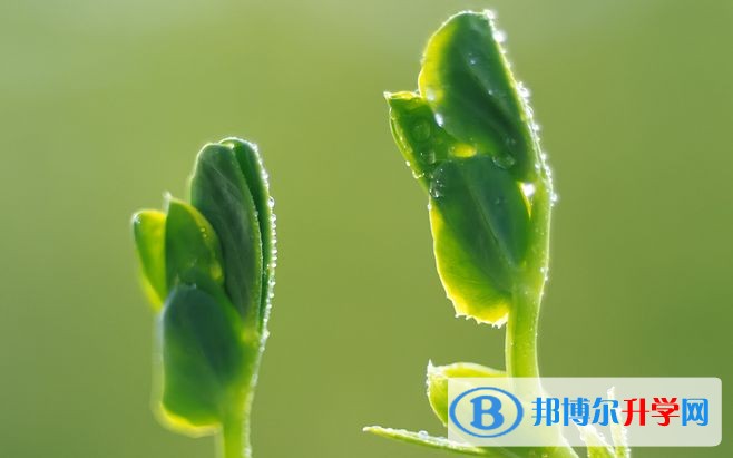 2020年內江好久中考