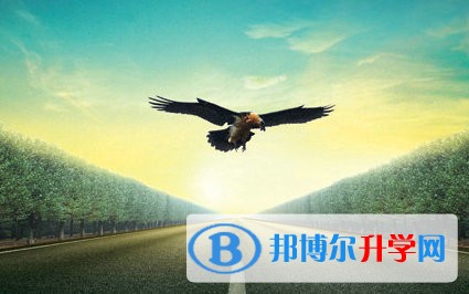 2020年內江中考報名是哪個網站