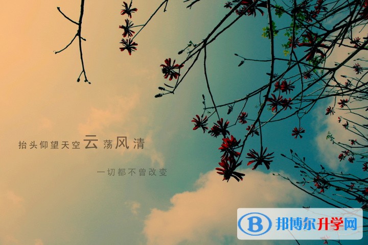 2020年內(nèi)江中考調(diào)劑志愿