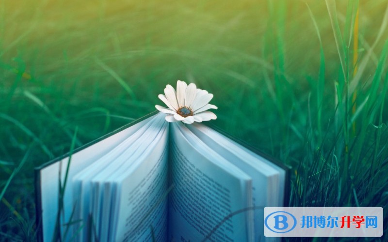 2020年內江中考調劑志愿是什么意思