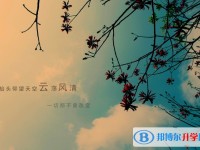 2020年內江中考調劑志愿