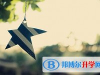 2020年自貢查詢中考成績的網址
