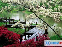 2020年內江中考志愿能不能修改