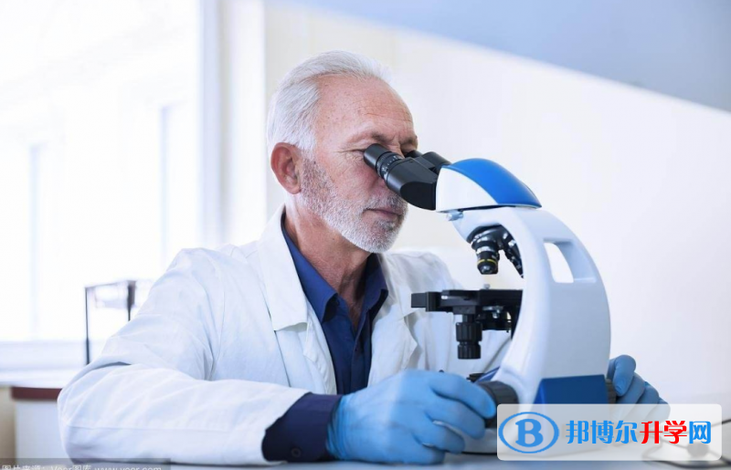 2020年自貢中考重點復習