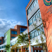 丹東新區鷹橋國際學校