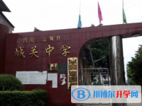 四川富順城關(guān)中學(xué)2025年招生計(jì)劃