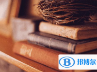 2020年樂(lè)山中考在哪里查詢