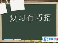 2020年樂山中考報名