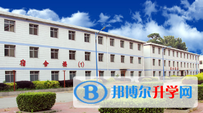 蒼龍國際學校2023年學費、收費多少