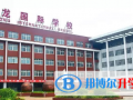 蒼龍國際學校網站網址