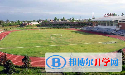 成都協(xié)同國際學(xué)校怎么樣、好不好