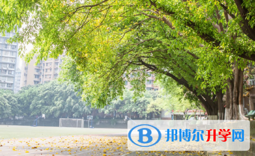 重慶第八中學國際部2023年報名條件、招生要求、招生對象