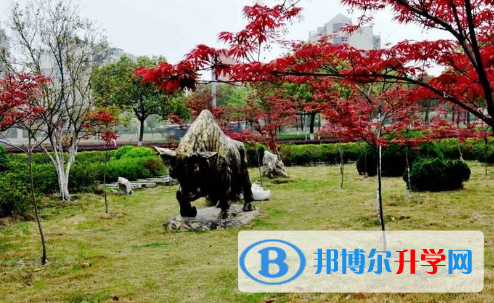 HDC中韓雙語(yǔ)高中地址在哪里