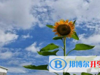 2020年銅仁查詢中考成績的網址