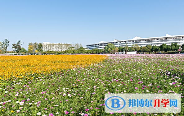 南京中醫(yī)藥大學(xué)國(guó)際教育中心2020年學(xué)費(fèi)、收費(fèi)多少