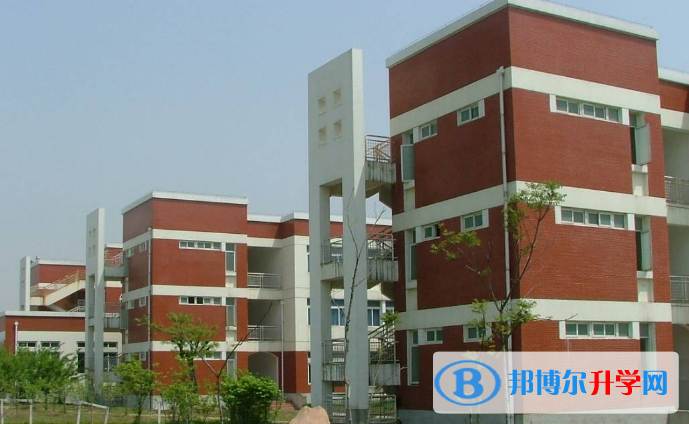 合肥世界外國語學校小學部2020年招生簡章
