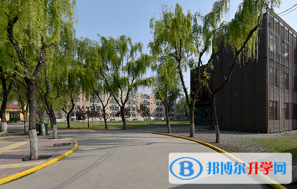 西安博愛國際學(xué)校小學(xué)部2020年招生計劃