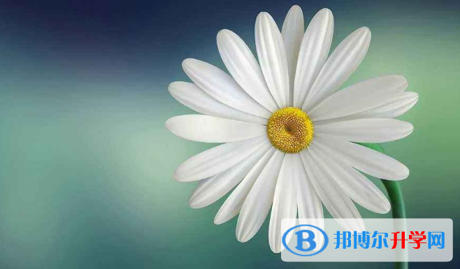  2020年曲靖中考成績什么時候公布