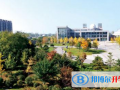 東北育才學(xué)校國際部2023年招生辦聯(lián)系電話