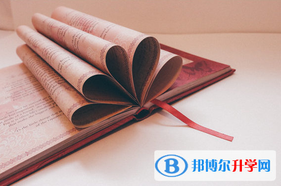 2020年保山中考報名網