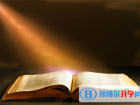 2020年邵通中考錄取規劃線
