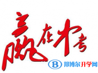 2020年邵通中考統考成績