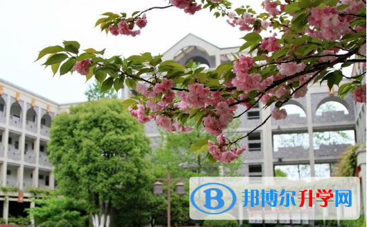 天津泰達楓葉國際學(xué)校2020年招生計劃