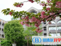 天津泰達楓葉國際學校2023年招生計劃