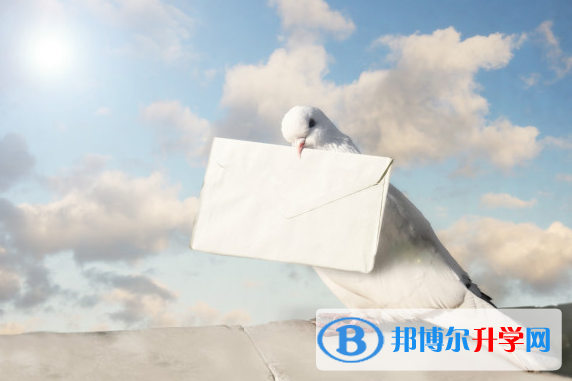 2020年麗江中考升學率