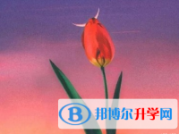 2020年麗江中考是否有高價生